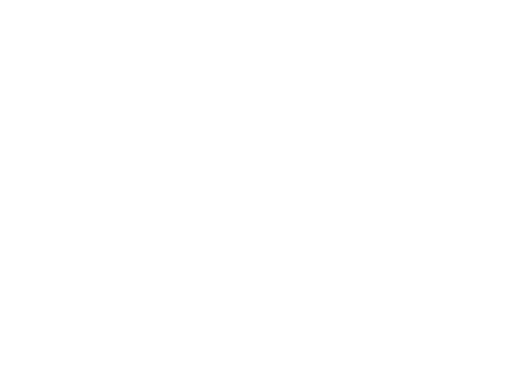 light logo